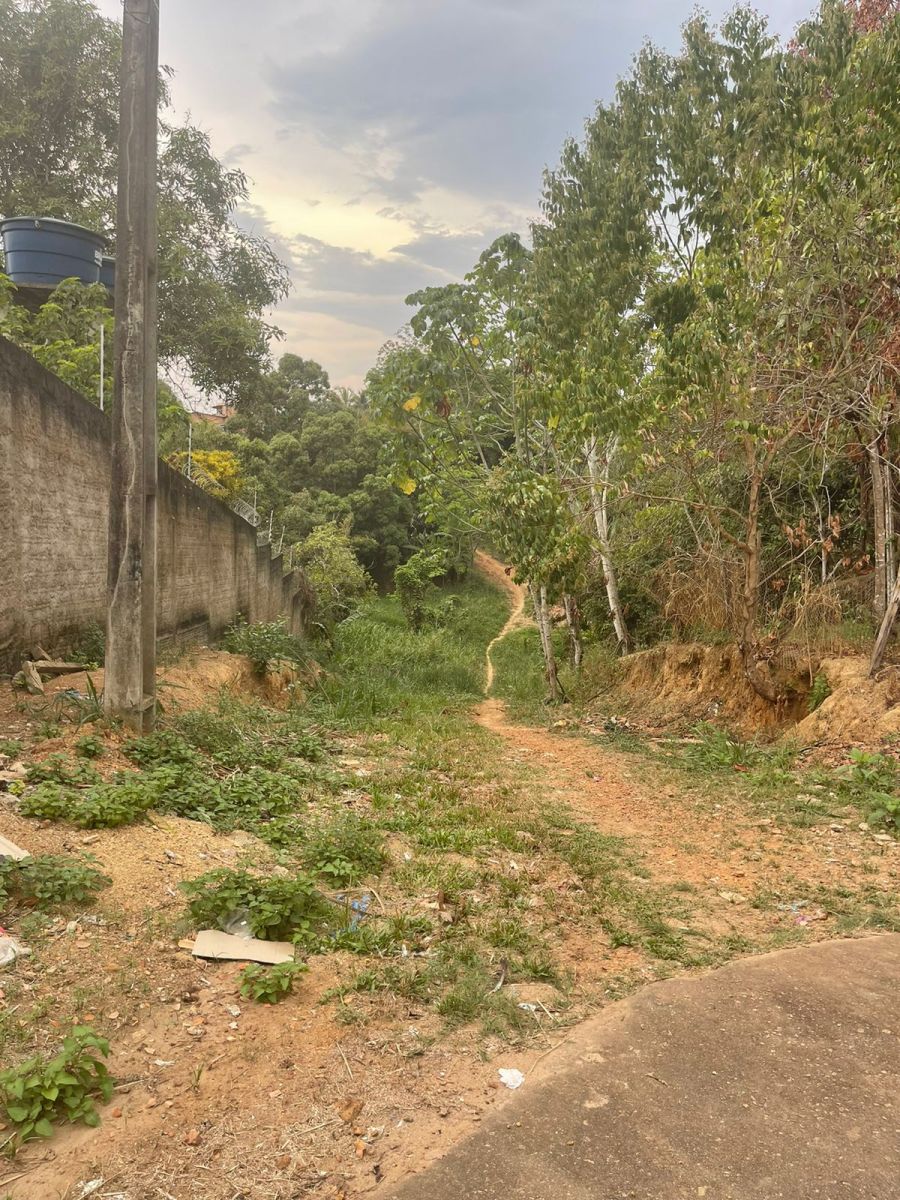 Após solicitação do vereador Carlos Damaceno, SEMOB realiza patrolamento na rua Canhoto da Paraíba - News Rondônia