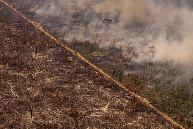 Rondônia e mais três estados concentraram 80% do desmatamento da Amazônia Legal em 2021 - News Rondônia