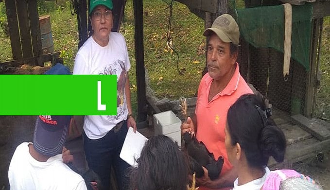 AGRICULTORES DE THEOBROMA APRENDEM BOAS PRÁTICAS NA CRIAÇÃO DE GALINHAS - News Rondônia