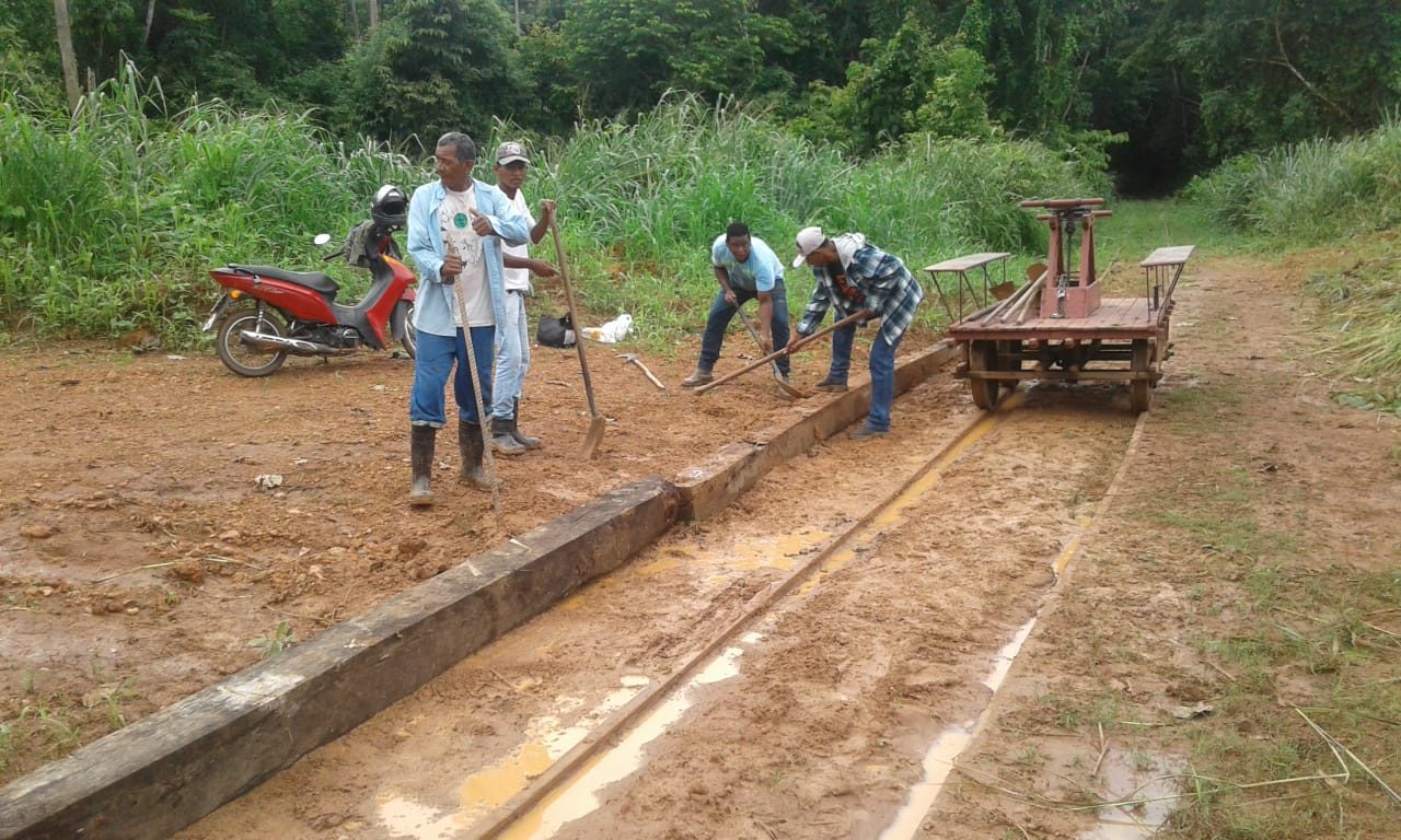 APENADOS REALIZAM LIMPEZA NOS TRILHOS DA ESTRADA DE FERRO MADEIRA-MAMORÉ - News Rondônia