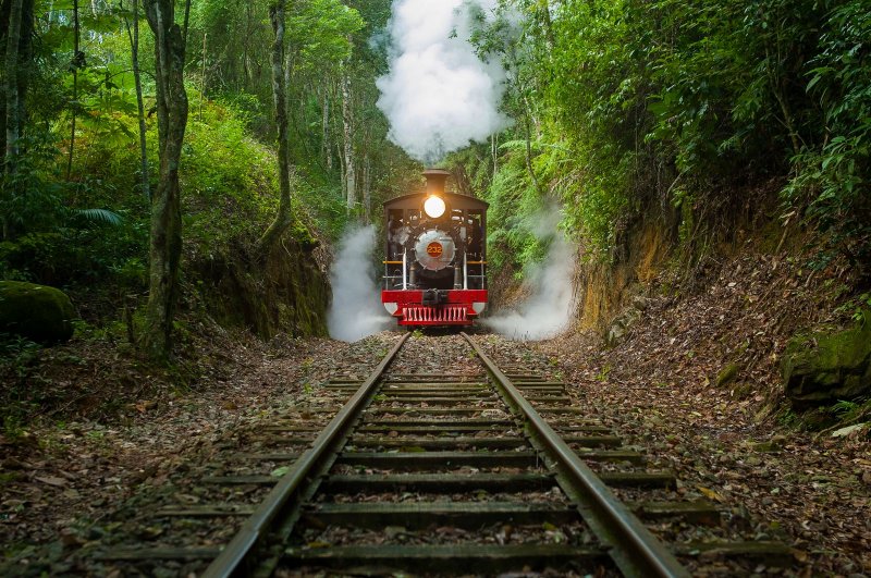 ENQUANTO FERROVIÁRIOS RENOVAM DIRETORIA, MADEIRA MAMORÉ FICA DE FORA DO PROGRAMA NACIONAL DE REVITALIZAÇÃO DE FERROVIAS - News Rondônia