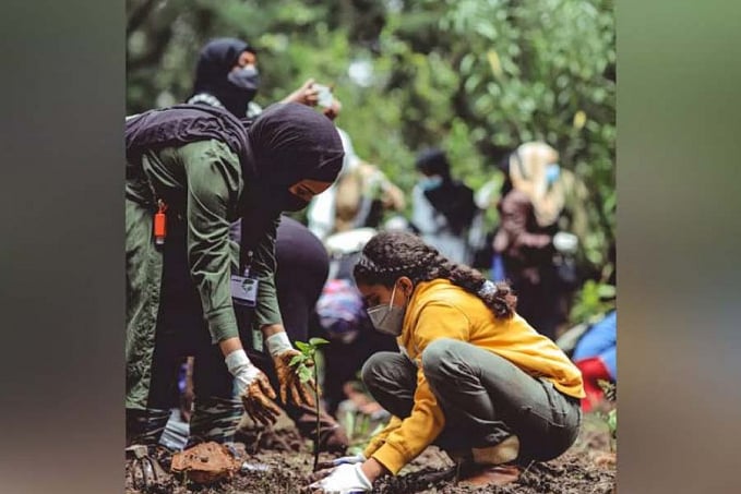 Em apenas um dia, voluntários plantam 250 milhões de árvores na Índia - News Rondônia