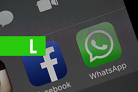 WHATSAPP LANÇA SERVIÇO DE MENSAGENS PARA EMPRESAS E VOLTA A TER RECEITA - News Rondônia