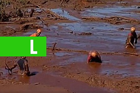 CÃES FAREJADORES INDICAM LOCAIS ONDE PODEM HAVER CORPOS EM BRUMADINHO (MG)-VÍDEO - News Rondônia