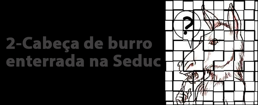 POLÍTICA & MURUPI: FOGUEIRA LITERÁRIA - News Rondônia