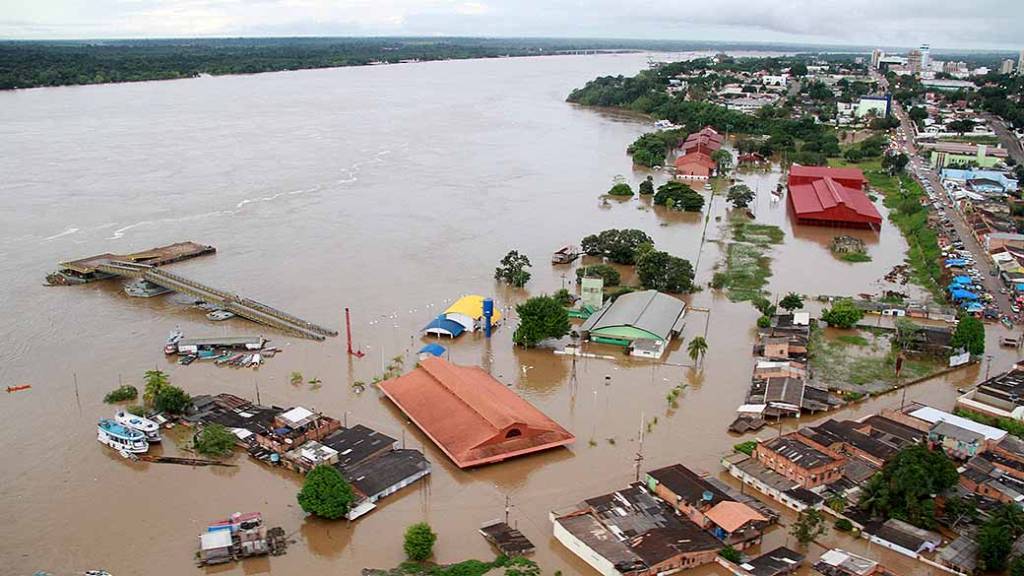 POLÍTICA & MURUPI: FOGUEIRA LITERÁRIA - News Rondônia