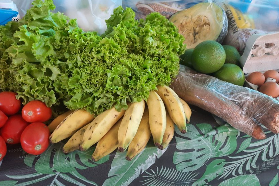 No Dia do Nutricionista, Seduc reforça importância destes profissionais na preparação e distribuição da merenda escolar - News Rondônia