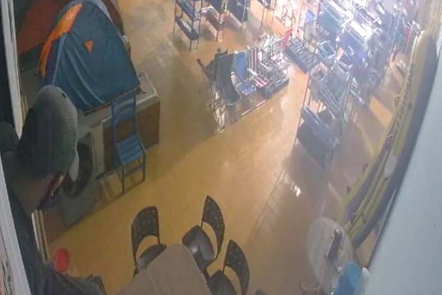VÍDEO: ladrões invadem loja e fogem levando 5 pistolas, 2 revólveres e mais de 3 mil munições - News Rondônia