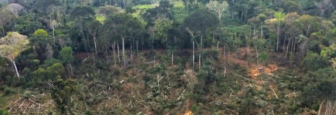 GOVERNO FEDERAL COBRA R$ 1,3 BILHÕES PELO DESMATAMENTO EM RONDÔNIA E MAIS CINCO ESTADOS - News Rondônia