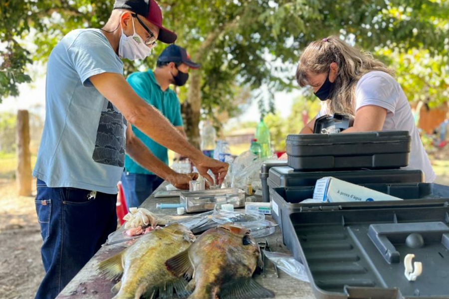 INCENTIVO - Laboratório móvel do programa Peixe Saudável impulsiona a piscicultura em Rondônia - News Rondônia