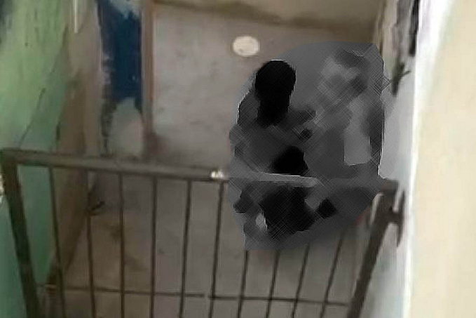 ESTUPRO DE CRIANÇA: Idoso de 76 anos é preso na zona leste - News Rondônia