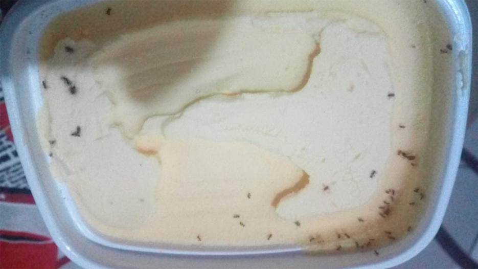 PROCON DE RONDÔNIA ALERTA PARA VALIDADE DOS ALIMENTOS NO PERÍODO MAIS QUENTE DO ANO - News Rondônia
