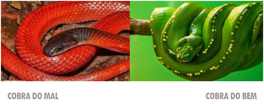 A FÁBULA DO ÍNDIO COM DUAS SERPENTES: QUAL DEVE SER ALIMENTADA? - News Rondônia