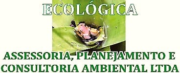 Requerimento da Licença Ambiental: DRIVE AUTO CENTER COMERCIO DE PNEUS LTDA - News Rondônia