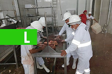 SERVIÇO DE INSPEÇÃO MUNICIPAL INTENSIFICA AÇÕES EM PORTO VELHO - News Rondônia