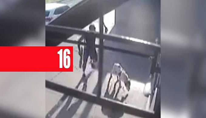 HOMEM MATA CACHORRO COM FACÃO NO MEIO DA RUA (VÍDEO) - News Rondônia