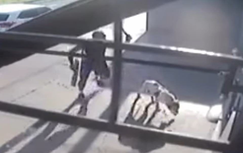 HOMEM MATA CACHORRO COM FACÃO NO MEIO DA RUA (VÍDEO) - News Rondônia