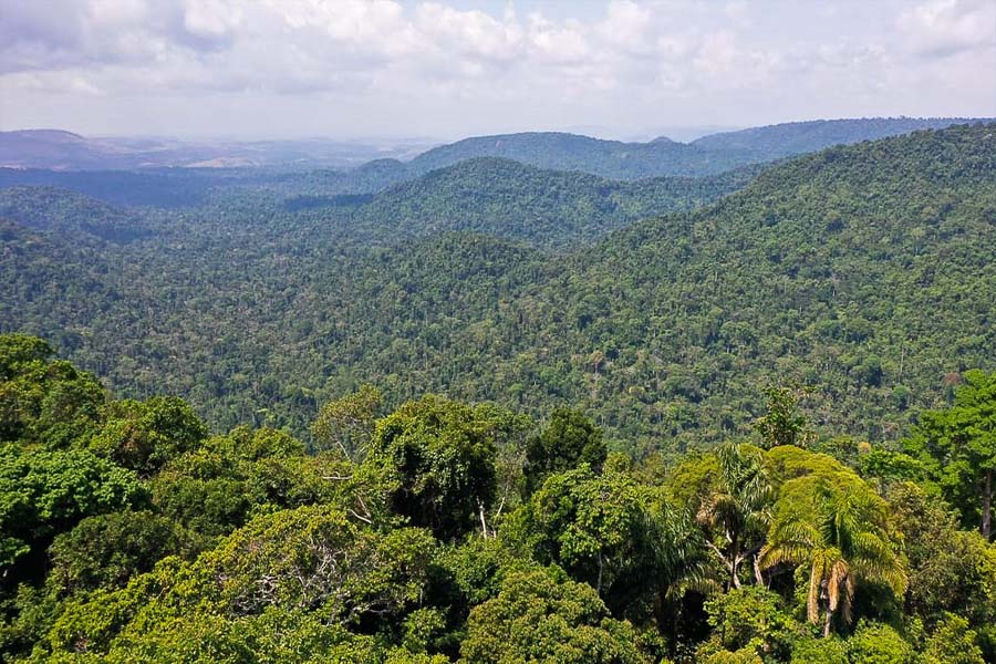 PF desarticula quadrilha que extraía ouro de terra indígena no Pará - News Rondônia