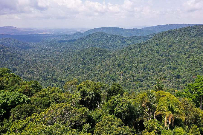 PF desarticula quadrilha que extraía ouro de terra indígena no Pará - News Rondônia
