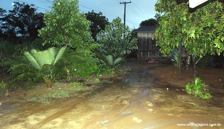 Vulgo Campo Grande é executado com golpes de faca - IMAGENS FORTES - News Rondônia