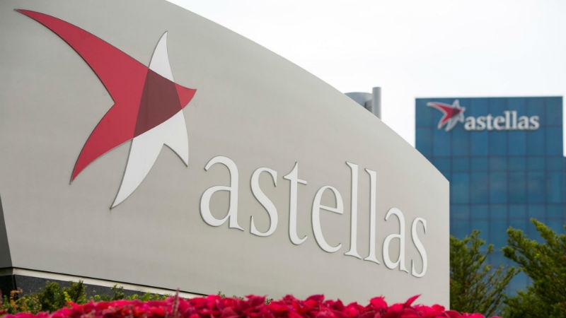 Astellas Farma Brasil realiza ação virtual beneficente durante a pandemia - News Rondônia