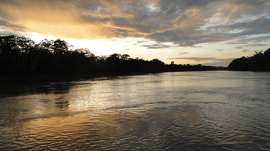 Pronampe cada vez mais distante do objetivo nas calhas do Purus, Juruá e do Rio Madeira no AM - News Rondônia