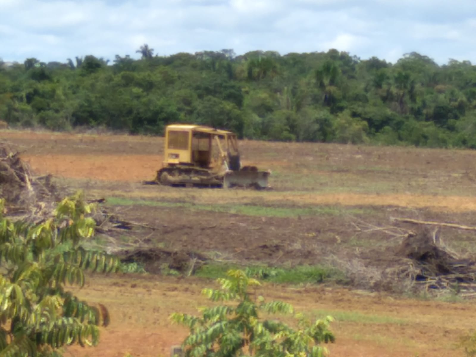 Pronampe cada vez mais distante do objetivo nas calhas do Purus, Juruá e do Rio Madeira no AM - News Rondônia