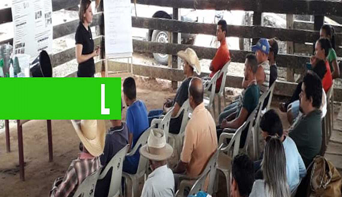 PRODUÇÃO DE LEITE É AVALIADA COM FOCO NO PROGRAMA DE BOAS PRÁTICAS DE ORDENHA EM RONDÔNIA - News Rondônia