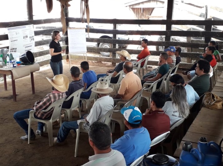 PRODUÇÃO DE LEITE É AVALIADA COM FOCO NO PROGRAMA DE BOAS PRÁTICAS DE ORDENHA EM RONDÔNIA - News Rondônia