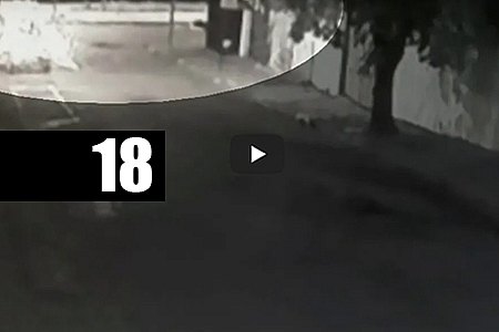 CÂMERA DE SEGURANÇA MOSTRA ACIDENTE QUE DECAPITOU MOTOCICLISTA EM AVENIDA DE SP - News Rondônia