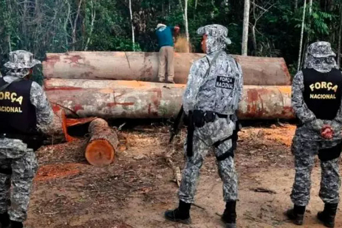 Ministro autoriza e Força Nacional de Segurança já está atuando no combate aos crimes ambientais na Amazônia - News Rondônia