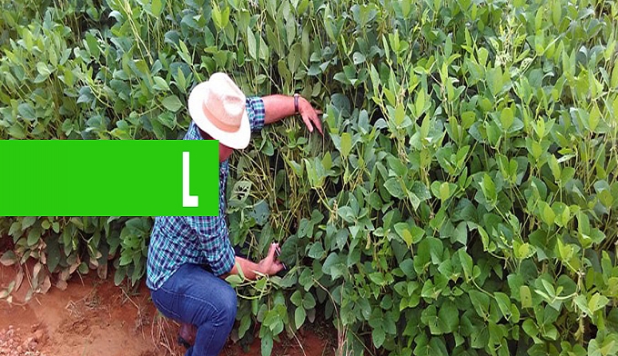 SEMANA DO AGRICULTOR E PRODUTOR RURAL INICIA COM CAFÉ DA MANHÃ E DIVERSAS ATIVIDADES AO LONGO DA SEMANA - News Rondônia