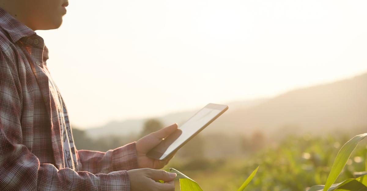 PIB do agro sobe 16,81%: produtores rurais obtém recursos via CPRs digitais - News Rondônia