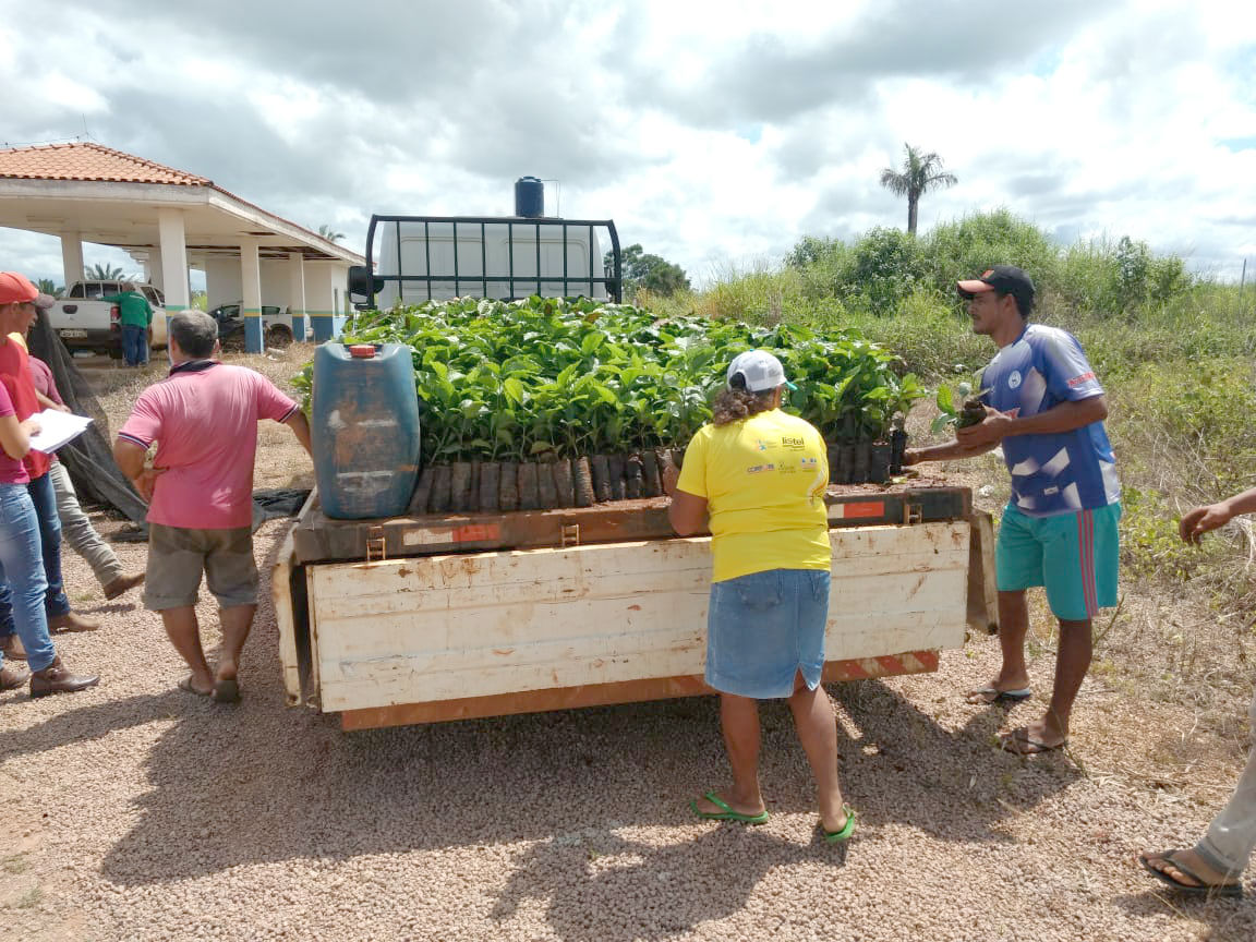 SEMAGRIC ENTREGA MAIS DE 157 MIL MUDAS DE CAFÉ CLONAL - News Rondônia