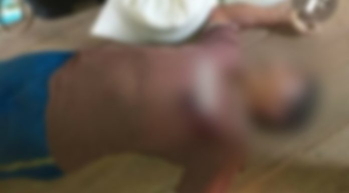 IDOSO TEM CASA INVADIDA POR BANDIDOS E VAI A ÓBITO APÓS REAGIR A ASSALTO - News Rondônia