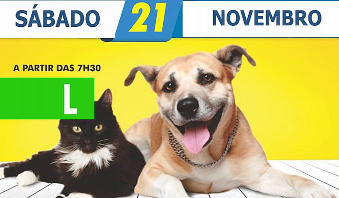 Secretaria de Saúde de Jaru realizará campanha de vacinação antirrábica para cães e gatos no próximo dia 21 de novembro - News Rondônia