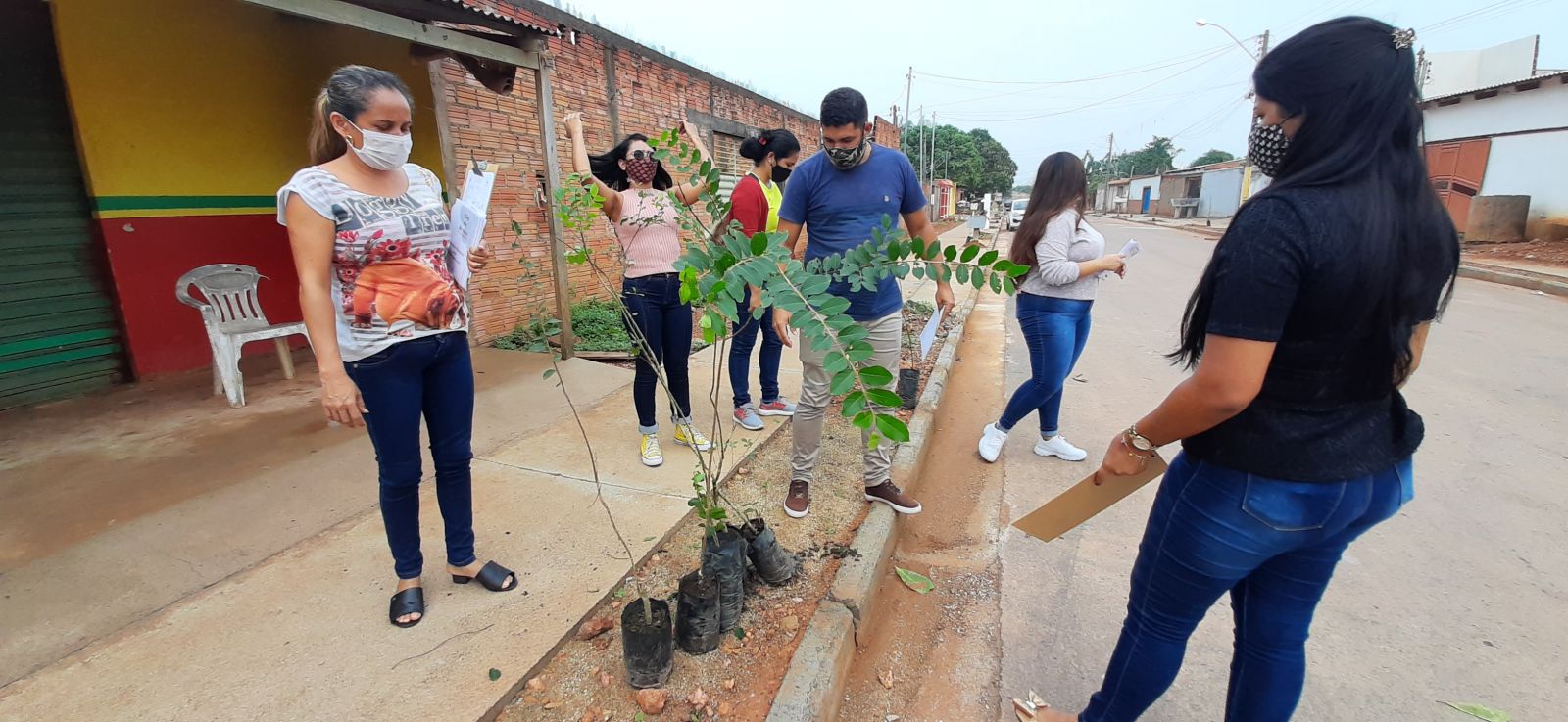 ARBORIZAÇÃO - Sema planta 1.276 árvores em 23 ruas no bairro Flamboyant - News Rondônia