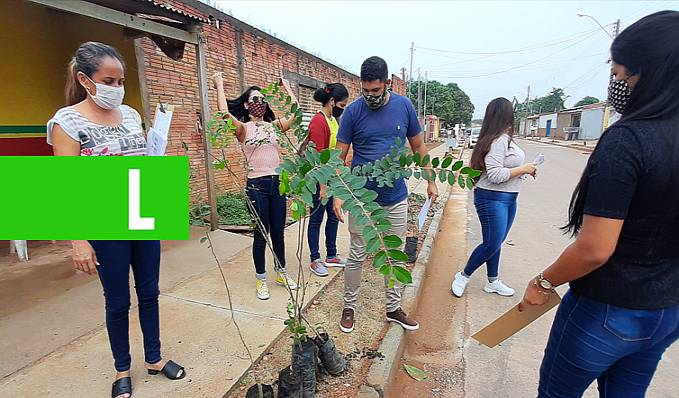 ARBORIZAÇÃO - Sema planta 1.276 árvores em 23 ruas no bairro Flamboyant - News Rondônia