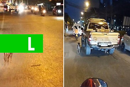 CÃO CORRE DESESPERADO ATRÁS DO CARRO DE SEUS DONOS APÓS SER ABANDONADO POR ELES; VÍDEO - News Rondônia
