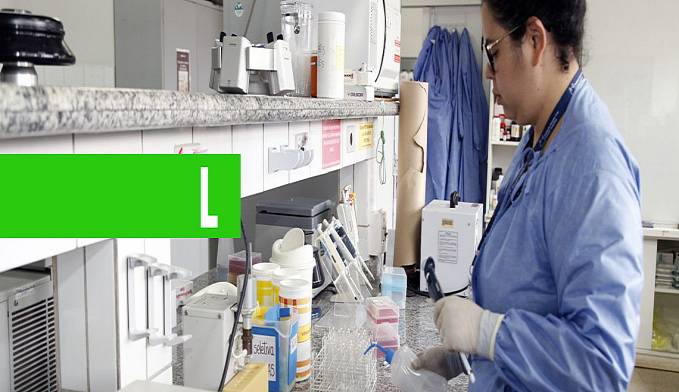 COMITÊ TÉCNICO-CIENTÍFICO INICIA COLABORAÇÃO COM HOSPITAIS E UNIDADES BÁSICAS DE SAÚDE DE RONDÔNIA - News Rondônia
