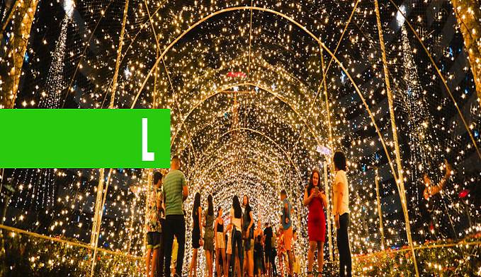 ILUMINAÇÃO NATALINA - ESPETÁCULO DE CORES MARCA O NATAL DE LUZ DO PALÁCIO RIO MADEIRA COM MENSAGENS DE AMOR À FAMÍLIA - News Rondônia
