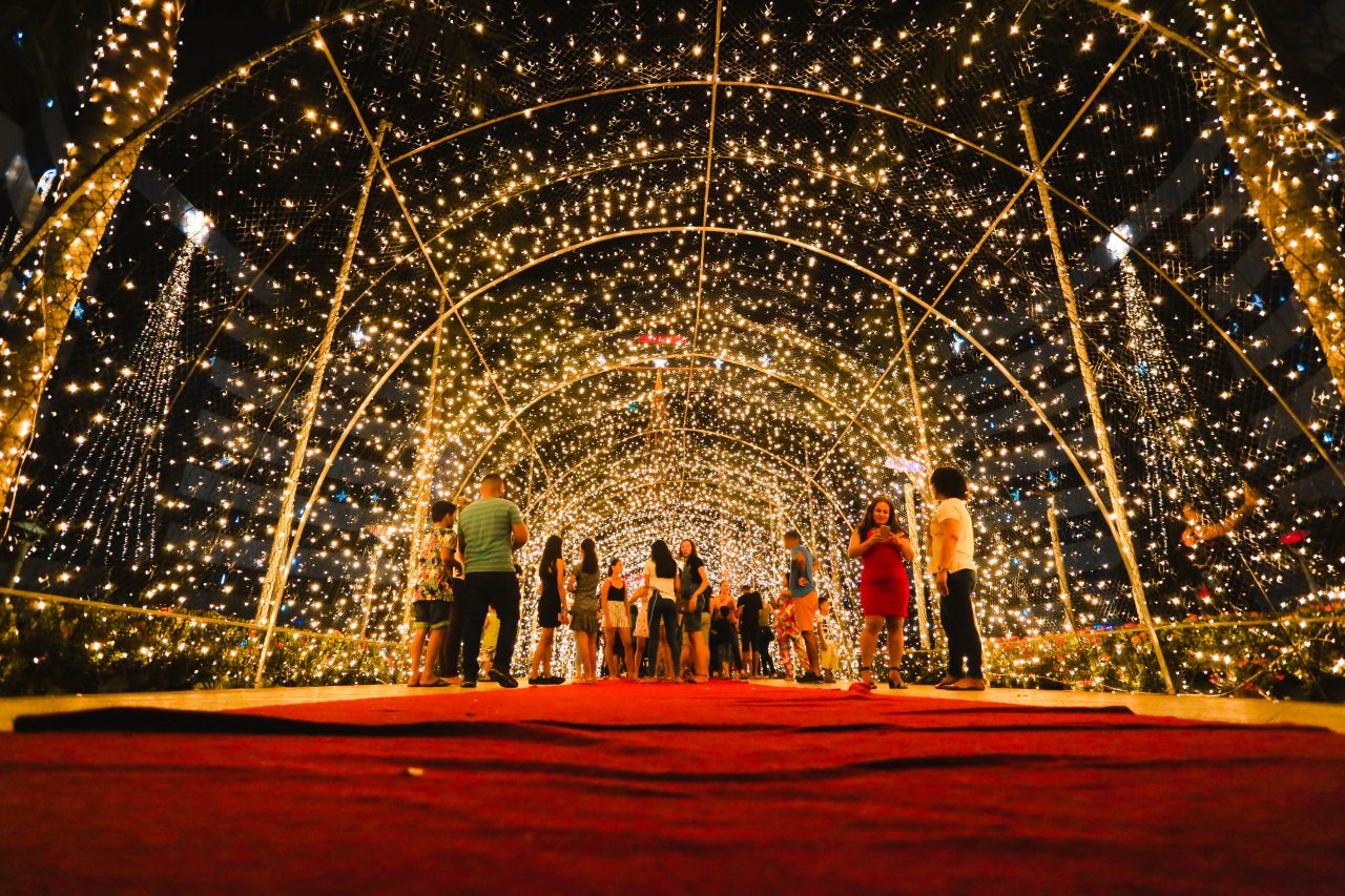 ILUMINAÇÃO NATALINA - ESPETÁCULO DE CORES MARCA O NATAL DE LUZ DO PALÁCIO RIO MADEIRA COM MENSAGENS DE AMOR À FAMÍLIA - News Rondônia