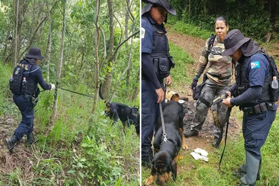 Homem que matou filha após ser denunciado por estupro entra para a lista dos mais procurados - News Rondônia