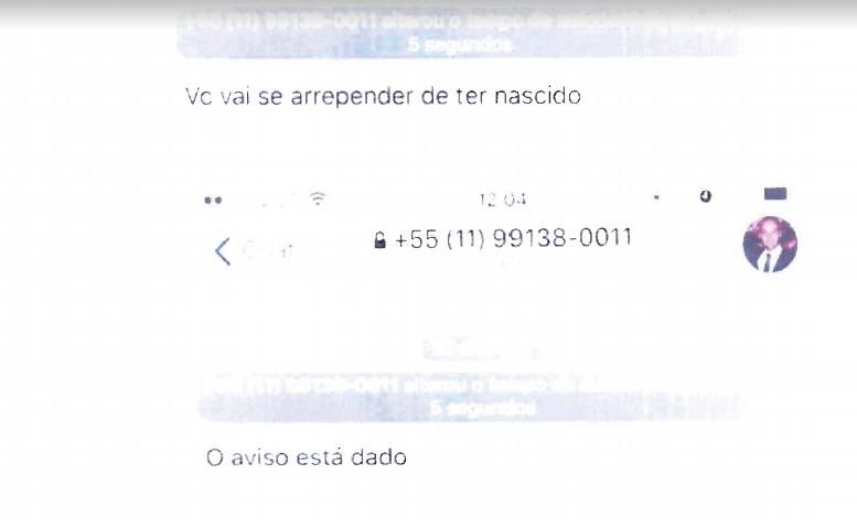 PROTESTO: EX-NAMORADA RESPONDE EDUARDO BOLSONARO COM TOPLESS - News Rondônia