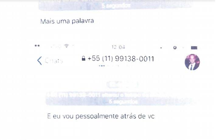 PROTESTO: EX-NAMORADA RESPONDE EDUARDO BOLSONARO COM TOPLESS - News Rondônia