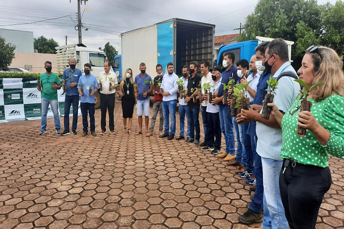 CAFEICULTURA - Mais de 600 mil mudas de café são distribuídas para produtores rurais de Cacoal e região - News Rondônia