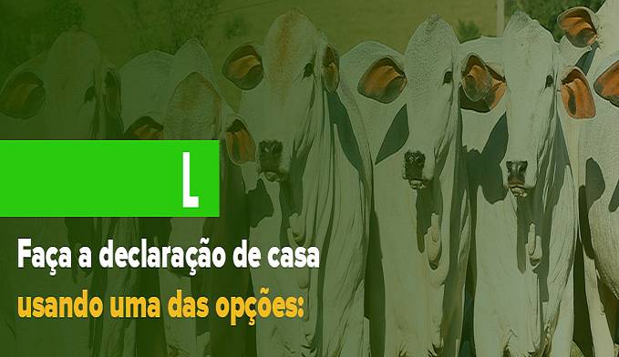 CAMPANHA DE DECLARAÇÃO DE REBANHOS À IDARON INICIA NESTA SEXTA-FEIRA, 1º DE MAIO - News Rondônia