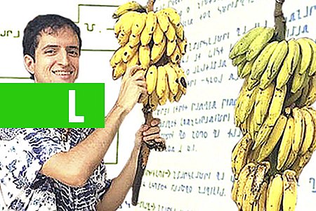 BRUNO BORGES TEM 15 DIAS PARA APRESENTAR EXTRATOS BANCÁRIOS - News Rondônia