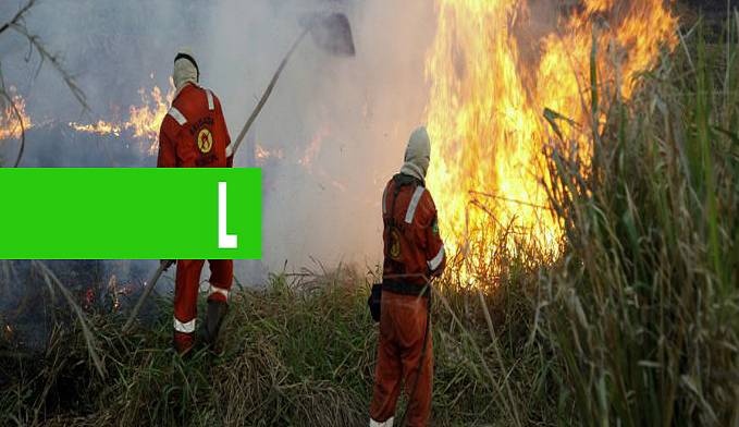 MESMO COM CHUVAS REGULARES, SEDAM ANTECIPA PREVENÇÃO A CRIMES DE DESMATAMENTO E QUEIMADAS ILEGAIS EM RONDÔNIA - News Rondônia