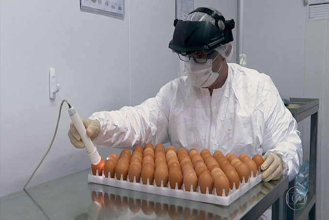 ButanVac: Jornal Hoje entra na fábrica onde o Butantan está produzindo nova vacina contra Covid - News Rondônia